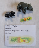 Kinder - Tapir Et Son Petit - DV021 - Sans BPZ - Inzetting