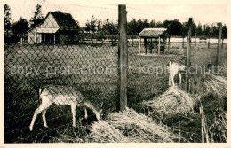 73695507 Karthaus Duelmen Anna Katharinenstift Tiergehege Karthaus Duelmen - Dülmen