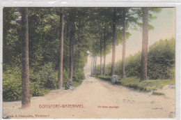 Boitsfort-Watermael. Un Beau Paysage. * - Watermaal-Bosvoorde - Watermael-Boitsfort