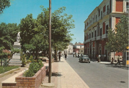 14/FG/24 - MATERA - ACCETTURA : Piazza Cartoscelli - Matera