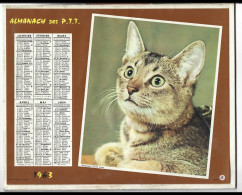 Almanach  Calendrier  P.T.T  -  La Poste -  1963 -  Chat- Cheval - Grossformat : 1961-70