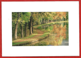 Bord De Rivière Sinueuse Et Arbres En Automne (Venise Verte ?) Par Werner Aichner 2scans - Árboles