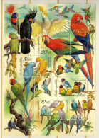 Tchequie - BF  Faune - Oiseaux - Peruches - Peroquets -  Neufs** - MNH - Blocchi & Foglietti