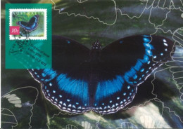 AUSTRALIA  : 2004, POSTAGE PRE PAID POSTCARD OF NATURE OF AUSTRALIA  RAINFOREST BUTTERFLIES WITH FD OF ISSUE STAMP. - Storia Postale