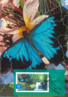 AUSTRALIA  : 2004, POSTAGE PRE PAID POSTCARD OF NATURE OF AUSTRALIA  RAINFOREST BUTTERFLIES WITH FD OF ISSUE STAMP. - Covers & Documents