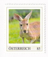 ÖSTERREICH - EXOTISCHE TIERE - KÄNGURU - Australien  - Personalisierte Briefmarke ** Postfrisch - Timbres Personnalisés