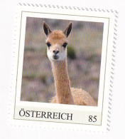 ÖSTERREICH - EXOTISCHE TIERE - VIKUNJA AMERIKA - Personalisierte Briefmarke ** Postfrisch - Timbres Personnalisés