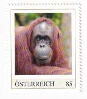 ÖSTERREICH - EXOTISCHE TIERE - ORANG UTAN Asien  - Personalisierte Briefmarke ** Postfrisch - Timbres Personnalisés