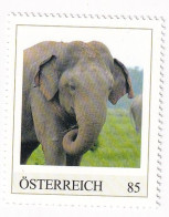 ÖSTERREICH - EXOTISCHE TIERE - Asiatischer ELEFANT Asien  - Personalisierte Briefmarke ** Postfrisch - Francobolli Personalizzati