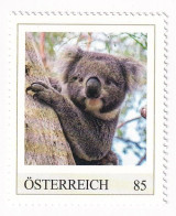 ÖSTERREICH - EXOTISCHE TIERE - KOALA Australien  - Personalisierte Briefmarke ** Postfrisch - Timbres Personnalisés
