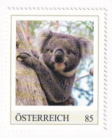 ÖSTERREICH - EXOTISCHE TIERE - KOALA Australien  - Personalisierte Briefmarke ** Postfrisch - Personalisierte Briefmarken