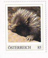 ÖSTERREICH - EXOTISCHE TIERE - SCHNABELIGEL Australien  - Personalisierte Briefmarke ** Postfrisch - Persoonlijke Postzegels