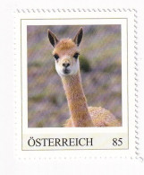 ÖSTERREICH - EXOTISCHE TIERE - VIKUNJA Amerika  - Personalisierte Briefmarke ** Postfrisch - Timbres Personnalisés