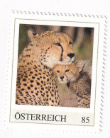 ÖSTERREICH - EXOTISCHE TIERE - GEPARD Afrika  - Personalisierte Briefmarke ** Postfrisch - Persoonlijke Postzegels