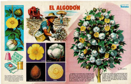 Poster El Algodón. Colección Revista Petete - Non Classés