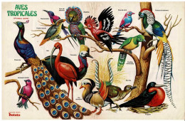 Poster Aves Tropicales. Colección Revista Petete - Non Classés