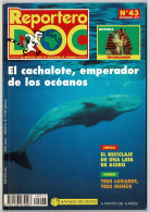 Reportero DOC No. 43. Noviembre 1997. El Cachalote - Non Classés