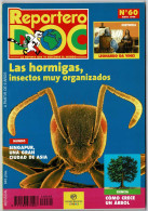 Reportero DOC No. 60. Mayo 1999. Las Hormigas - Non Classés