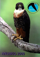 Asociación Española De Cetrería Y Conservación De Aves Rapaces AECCA Anuario 2009 - Unclassified