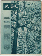 Periódico ABC 9 Enero 1963. Helada Técnica - Unclassified