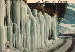 CPM - P - MONTAGNE - LES LARMES DE L'HIVER - Otros