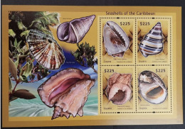 Coquillages Shells // Bloc Neuf ** MNH ; Guyana 6244/6247 (2012) Cote 15 € - Guyane (1966-...)