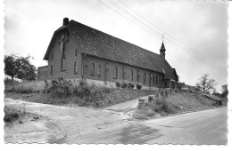 OPETEREN (3680) Kerk Dorne - Maaseik