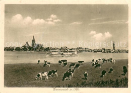 73692623 Emmerich Rhein Viehherde Am Fluss Rheindampfer Blick Auf Die Stadt Kupf - Emmerich