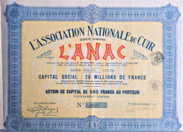 L'association Nationale Du Cuir - L'Anac - Zulte - 1928 - Action De Capital - Textil