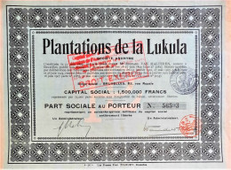 Plantations De La Lukula - Part Sociale Au Porteur (1924) - Africa