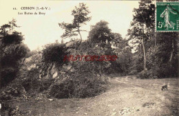 CPA CESSON - ILLE ET VILAINE - LES BUTTES DE BRAY - Cesson