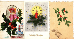 BZ102. Vintage Greetings Postcards X 3. Holly, Berries And Pine Needles - Alberi