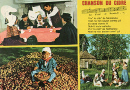 CPM - P - NORMANDIE - CHANSON DU CIDRE - Autres