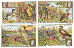 S 803, Liebig 6 Cards, Le Canard - Liebig