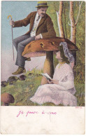 Assis Sur Champignon - 1904 - Couple # 3-19/14 - Altri & Non Classificati