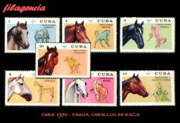 CUBA MINT. 1972-13 FAUNA. CABALLOS DE RAZA - Nuevos