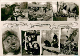 73691800 Gelsenkirchen Ruhr Zoo Elefanten Loewen Affen Nashoerner Geier Gelsenki - Gelsenkirchen