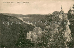 73691079 Ilsenburg Harz Paternosterklippe Harzklippen Felsen Landschaftspanorama - Ilsenburg