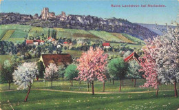 13961491 MARIASTEIN_SO Panorama Blick Zur Ruine Landskron Baumbluete - Autres & Non Classés
