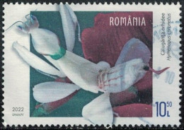 Roumanie 2022 Oblitéré Used Insecte Animal Hymenopus Coronatus Mante Orchidée Y&T RO 6797 SU - Oblitérés