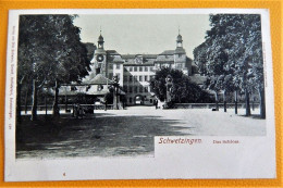 SCHWETZINGEN  -  Das  Schloss - Schwetzingen