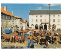 43-YSSINGEAUX-PLACE DE LA VICTOIRE-N°617-A/0189 - Yssingeaux