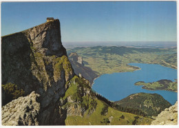 Schafbergspitze, 1780 M, Mit Mondsee - (Österreich/Austria) - 1985 - St. Wolfgang