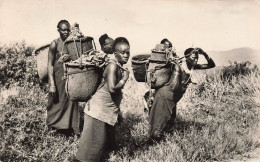 RUANDA-URUNDI - Ruanda Urundi - Type De Femme Indigène - Six Femmes Indigènes - Carte Postale Ancienne - Ruanda-Burundi