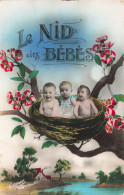 FANTAISIES - Bébés - Le Nid Des Bébés - Trois Bébés Dans Un Nid D'oiseau - Carte Postale Ancienne - Babies