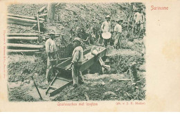 SURINAME - Goudwaschen Met Longtom - Mine D'Or - Surinam
