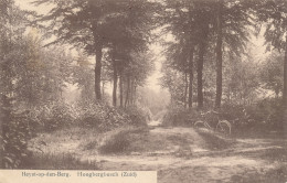 Heist Op Den Berg 1913 – Hoogbergbos (Zuid) - Heist-op-den-Berg