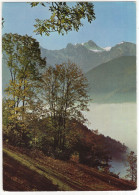 Grüneck (Golm), Montafon, 2125 M - Blick Gegen Schesapiana - (Österreich/Austria) - Bludenz