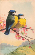 ANIMAUX - Un Couple D'oiseaux Sur Une Branche - Colorisé - Carte Postale Ancienne - Uccelli