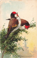 ANIMAUX - Un Couple D'oiseaux Sur Une Branche - Colorisé - Carte Postale Ancienne - Uccelli